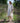 Natural and Gold Woven Cotton A-line Dress