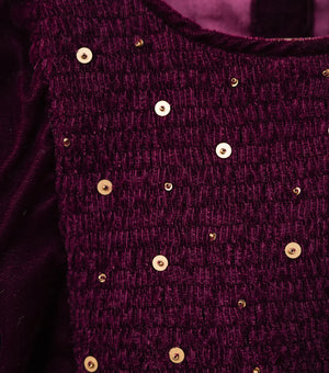 Wine Velvet Hand Embroidered Winter Dress