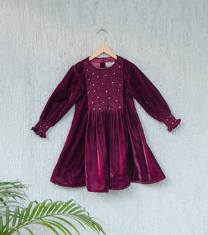 Wine Velvet Hand Embroidered Winter Dress