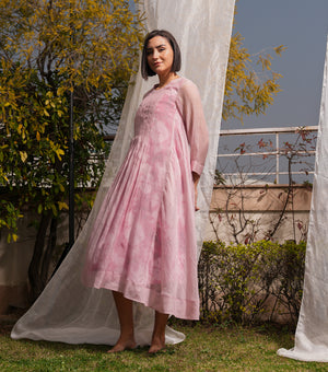 Pink Overlay Sheer Dress with Printed Slip