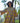 Beige and Yellow Polka Cotton Shirt Dress
