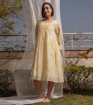 Butter Bloom Overlay Sheer Dress with Printed Slip