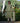 Green Cotton Printed Kurta Set