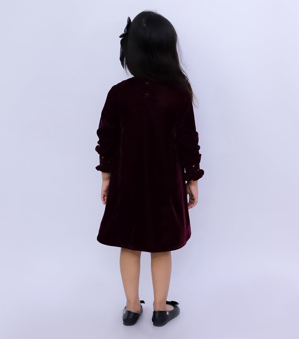 Wine Velvet Hand Embroidered Winter Dress