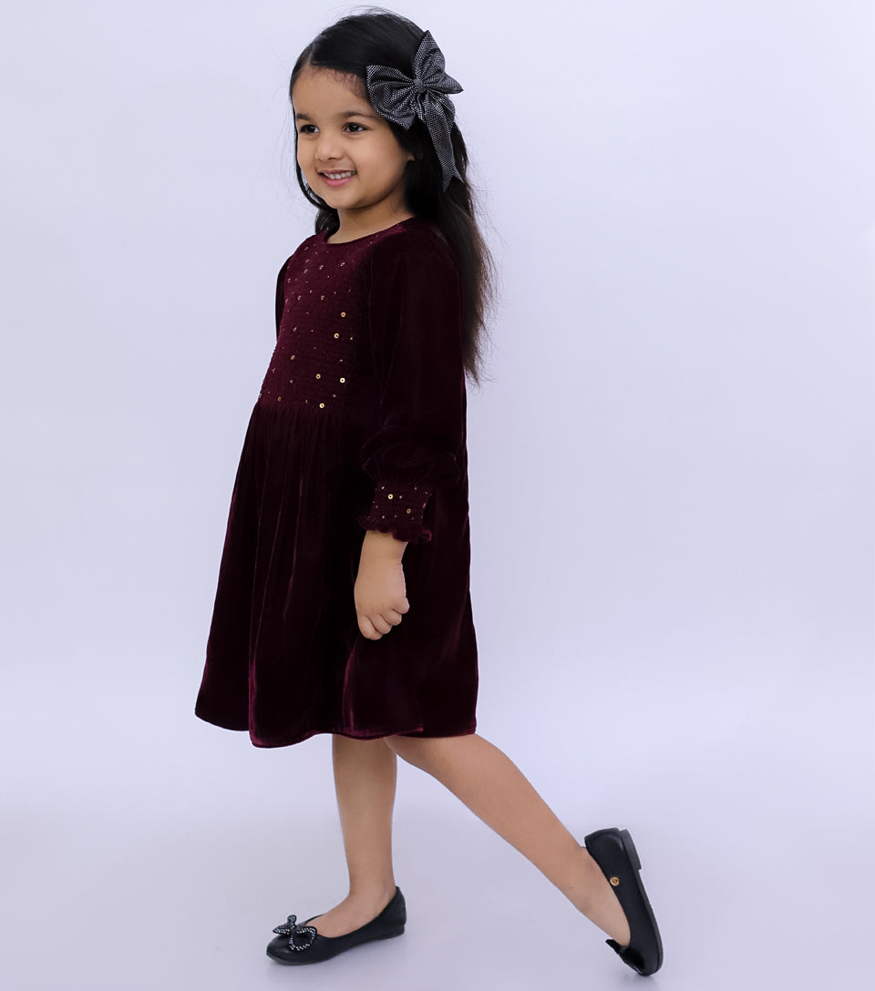 Wine Velvet Hand Embroidered Winter Dress