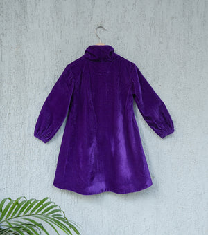 Purple Velvet Cowl Neck Pleated Winter Dress