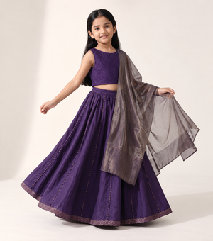 Purple Chanderi Blouse, Lehenga Skirt & Tissue Dupatta Set