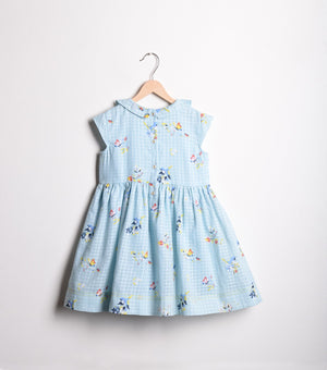 Blue Printed Cotton Dress